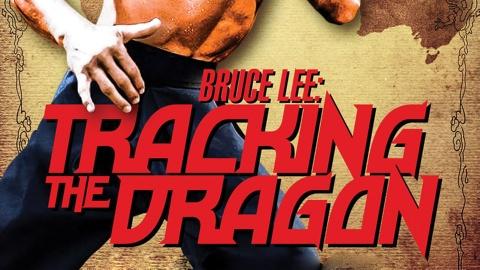 Bruce Lee: Tracking The Dragon (2014)