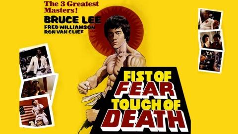 Fist of Fear, Touch of Death (1980)